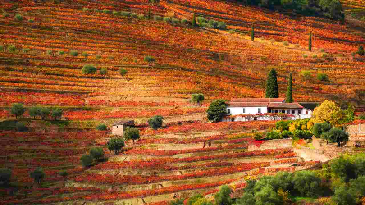 mete città in autunno